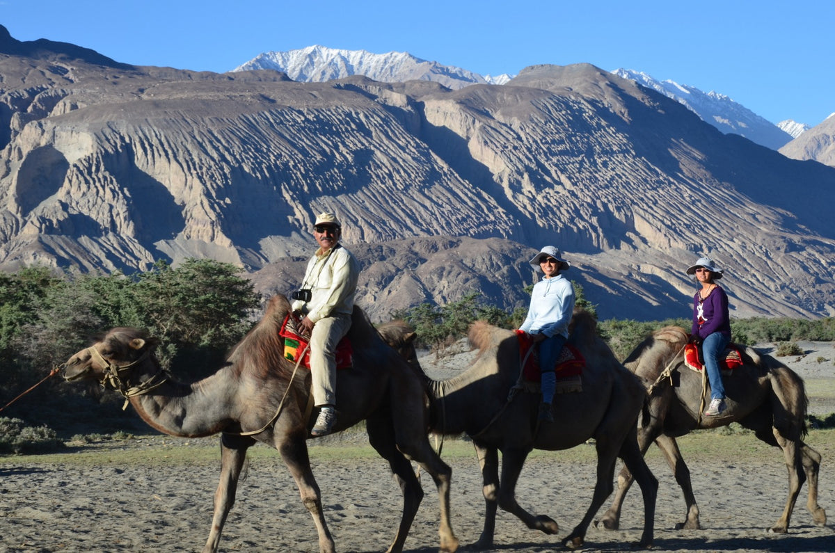 8 Day Majestic Ladakh Tour